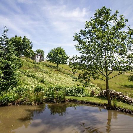 Black Mountain View Llanafan-fawr Экстерьер фото